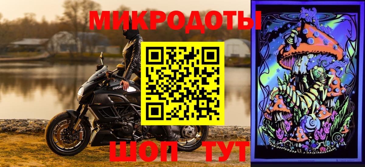 Псилоцибиновые грибы Psilocybine cubensis Новомосковск