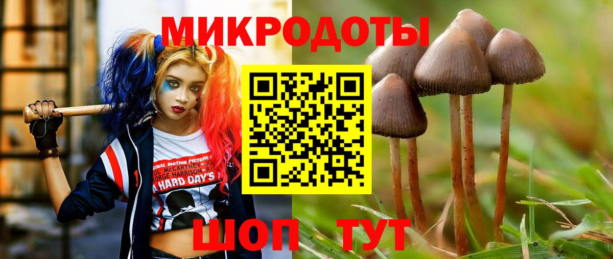 Псилоцибиновые грибы прущие грибы  где купить наркоту  Новомосковск  Вход с VPN 