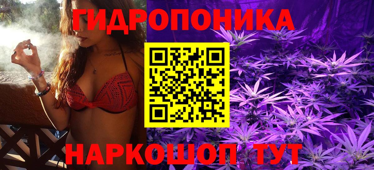 Бошки Шишки планчик Новомосковск